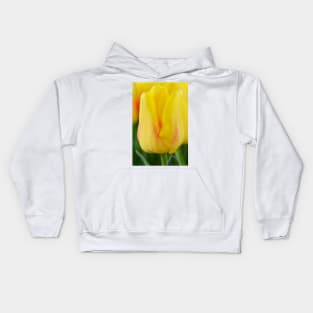 Tulipa  &#39;Ice Lolly&#39;  Tulip Kids Hoodie